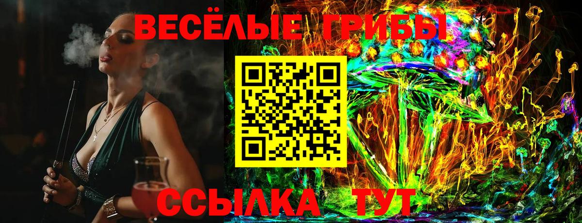 Галлюциногенные грибы Psilocybe  Вход с VPN  Джанкой 
