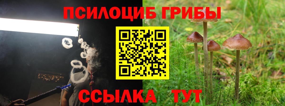 Галлюциногенные грибы GOLDEN TEACHER Джанкой